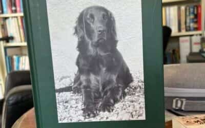 Bogen om Flatcoat som jagthund